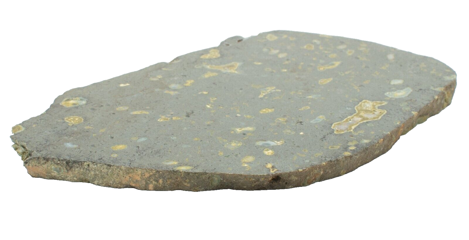 Polished-Western-Australian-Galaxy-Agate-Slice-Stone-Slab-Pilbara-GA02052-375407399942-3