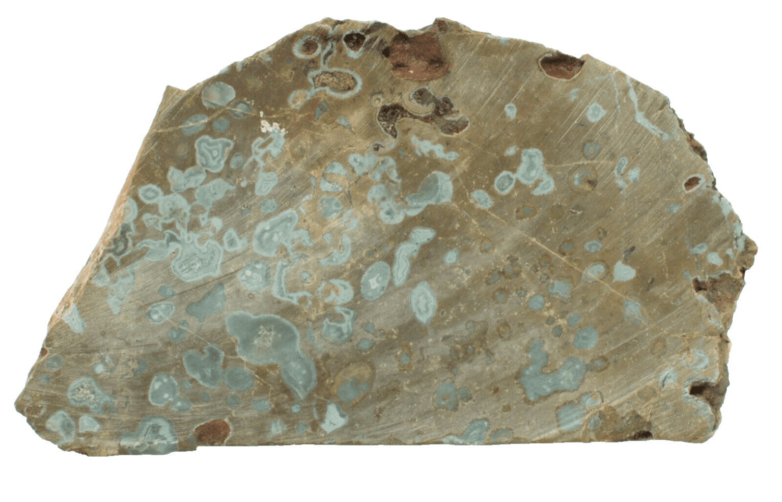 Polished Western Australian Galaxy Agate Slice Stone Slab Pilbara ...