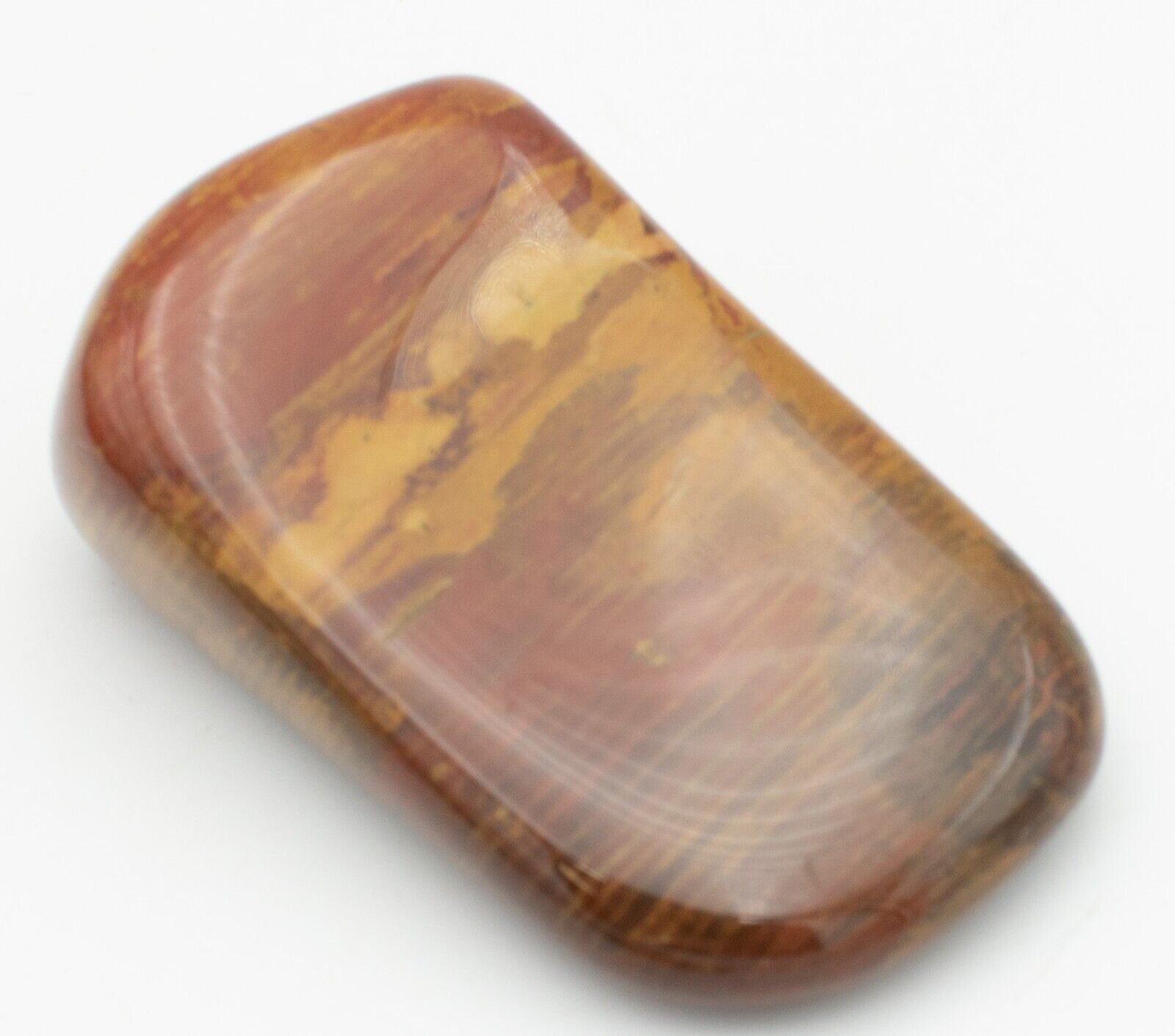 Premium-Chinchilla-Wandoan-Tumble-Polished-Petrified-Wood-1kg-Crystal-Rocks-375407552072-4