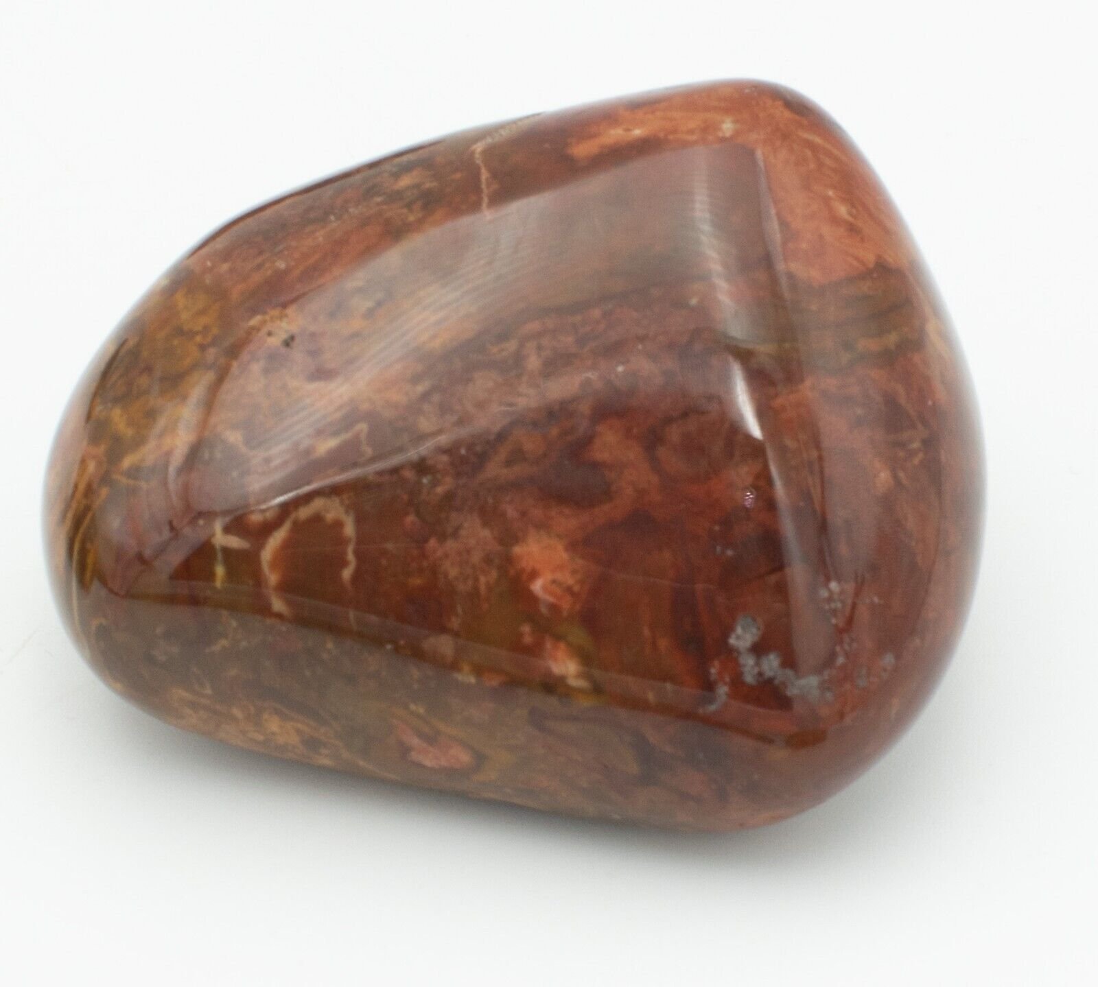 Premium-Chinchilla-Wandoan-Tumble-Polished-Petrified-Wood-1kg-Crystal-Rocks-375407552072-6