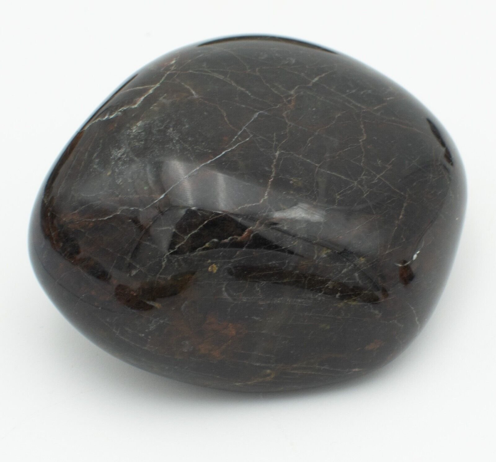 Premium-Chinchilla-Wandoan-Tumble-Polished-Petrified-Wood-1kg-Crystal-Rocks-375407552072-7