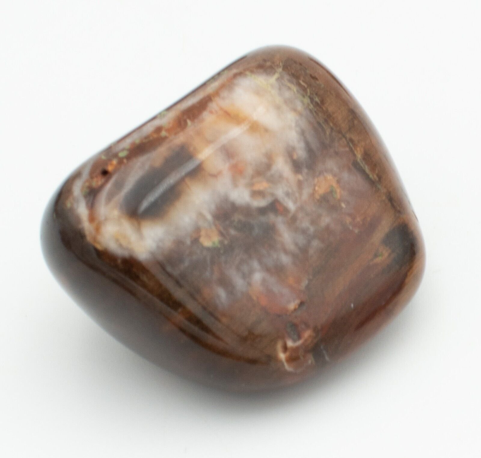 Premium-Chinchilla-Wandoan-Tumble-Polished-Petrified-Wood-1kg-Crystal-Rocks-375407552072-9