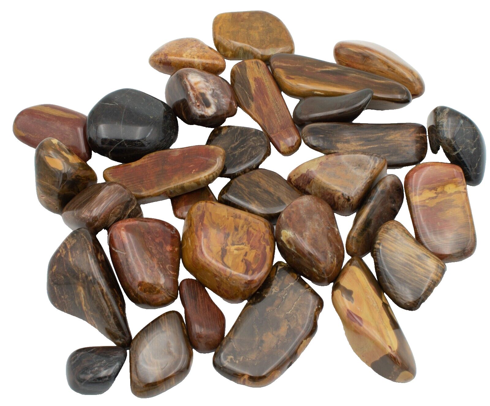 Premium-Chinchilla-Wandoan-Tumble-Polished-Petrified-Wood-1kg-Crystal-Rocks-375407552072