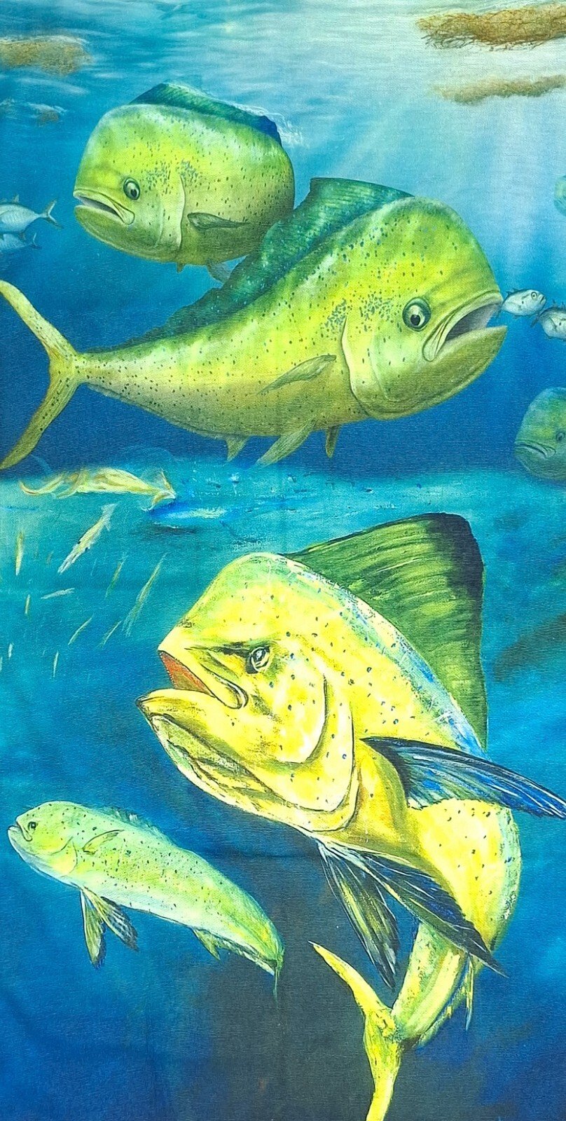 Variation-of-Bandana-Sun-UV-Wind-Face-Neck-Protection-Fossicking-Prospecting-Fishing-Sports-376206116312-5617