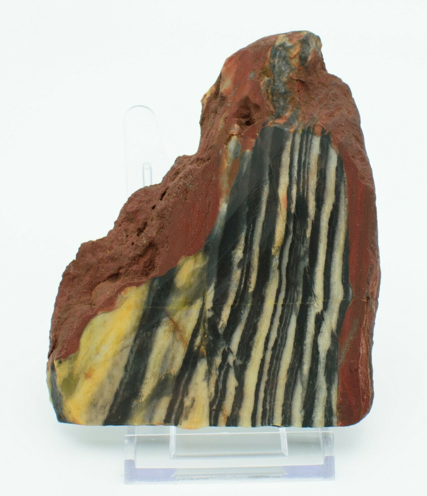 Western-Australian-Polished-Chert-Slice-Slab-Meekatharra-373995041372-2