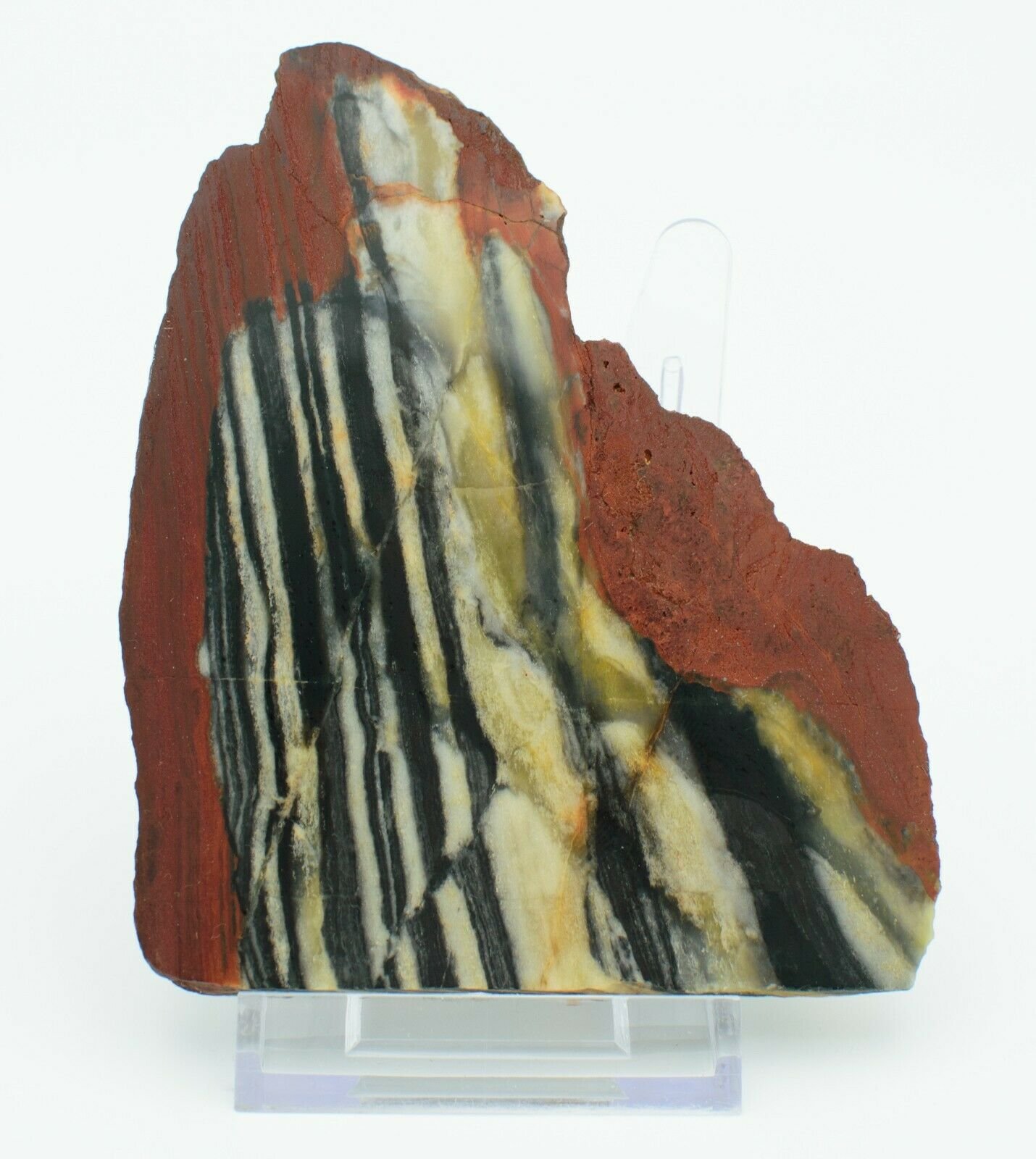 Western-Australian-Polished-Chert-Slice-Slab-Meekatharra-373995041372