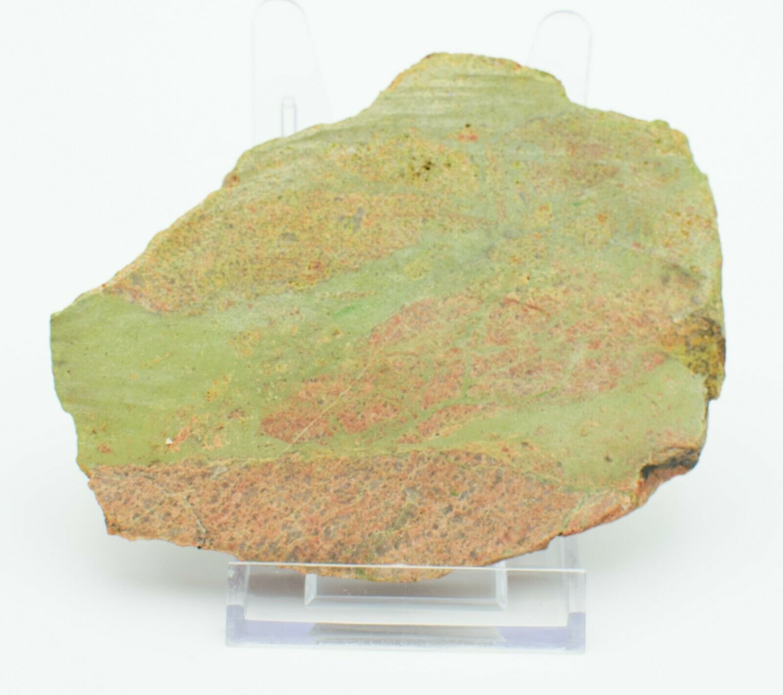 Western-Australian-Polished-Epidotized-Rhyolite-Slice-Pilbara-Slab-003-373995032872-2