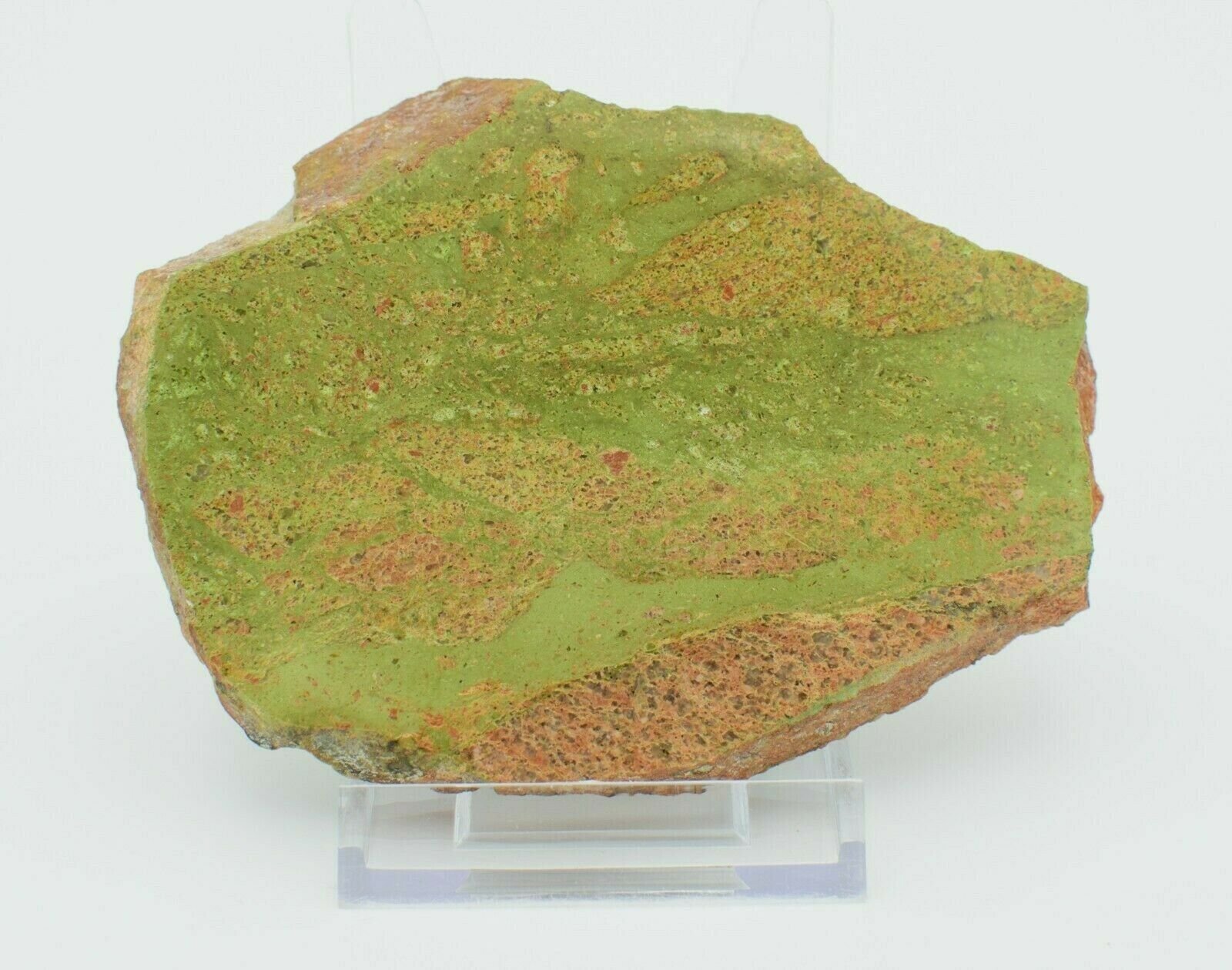 Western-Australian-Polished-Epidotized-Rhyolite-Slice-Pilbara-Slab-003-373995032872