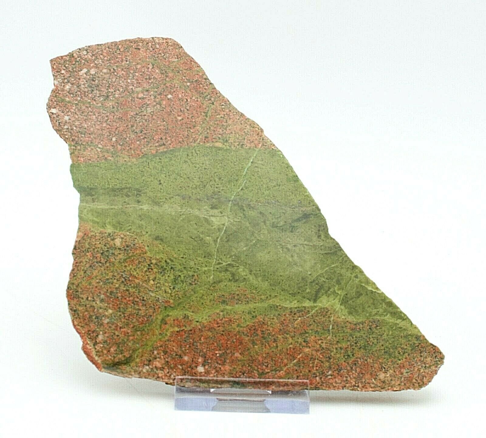 Western-Australian-Polished-Epidotized-Rhyolite-Slice-Pilbara-Slab-372929636882