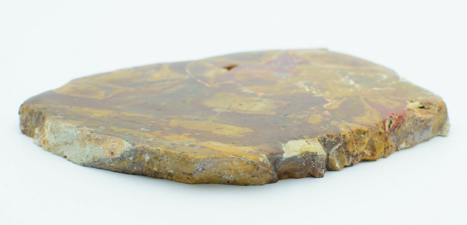 Large-Queensland-Agate-Creek-Thunder-Egg-Slice-Crystals-Rhyolite-Slab-Thunderegg-372929660193-4