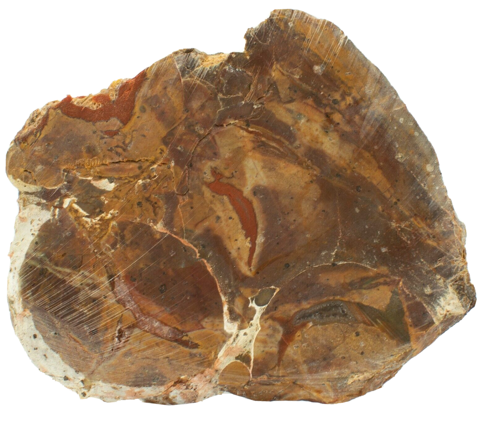 Large-Queensland-Agate-Creek-Thunder-Egg-Slice-Crystals-Rhyolite-Slab-Thunderegg-374010427133-2