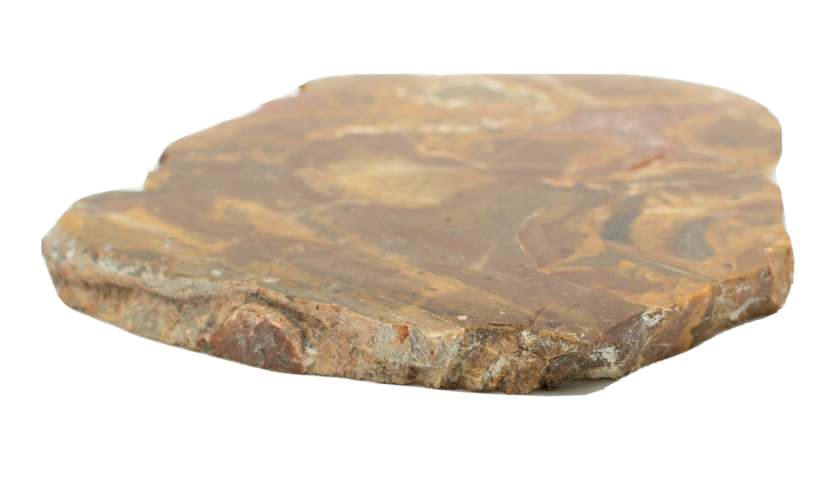 Large-Queensland-Agate-Creek-Thunder-Egg-Slice-Crystals-Rhyolite-Slab-Thunderegg-374010427133-4