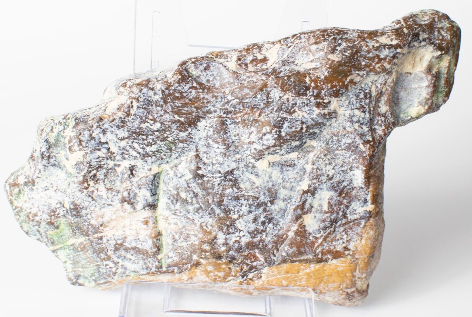Polished-Chinchilla-Petrified-Wood-Slice-Stone-Slab-Australian-PW2109234-374943364633-2