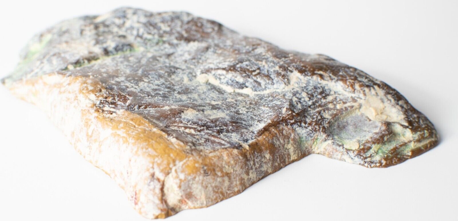 Polished-Chinchilla-Petrified-Wood-Slice-Stone-Slab-Australian-PW2109234-374943364633-3