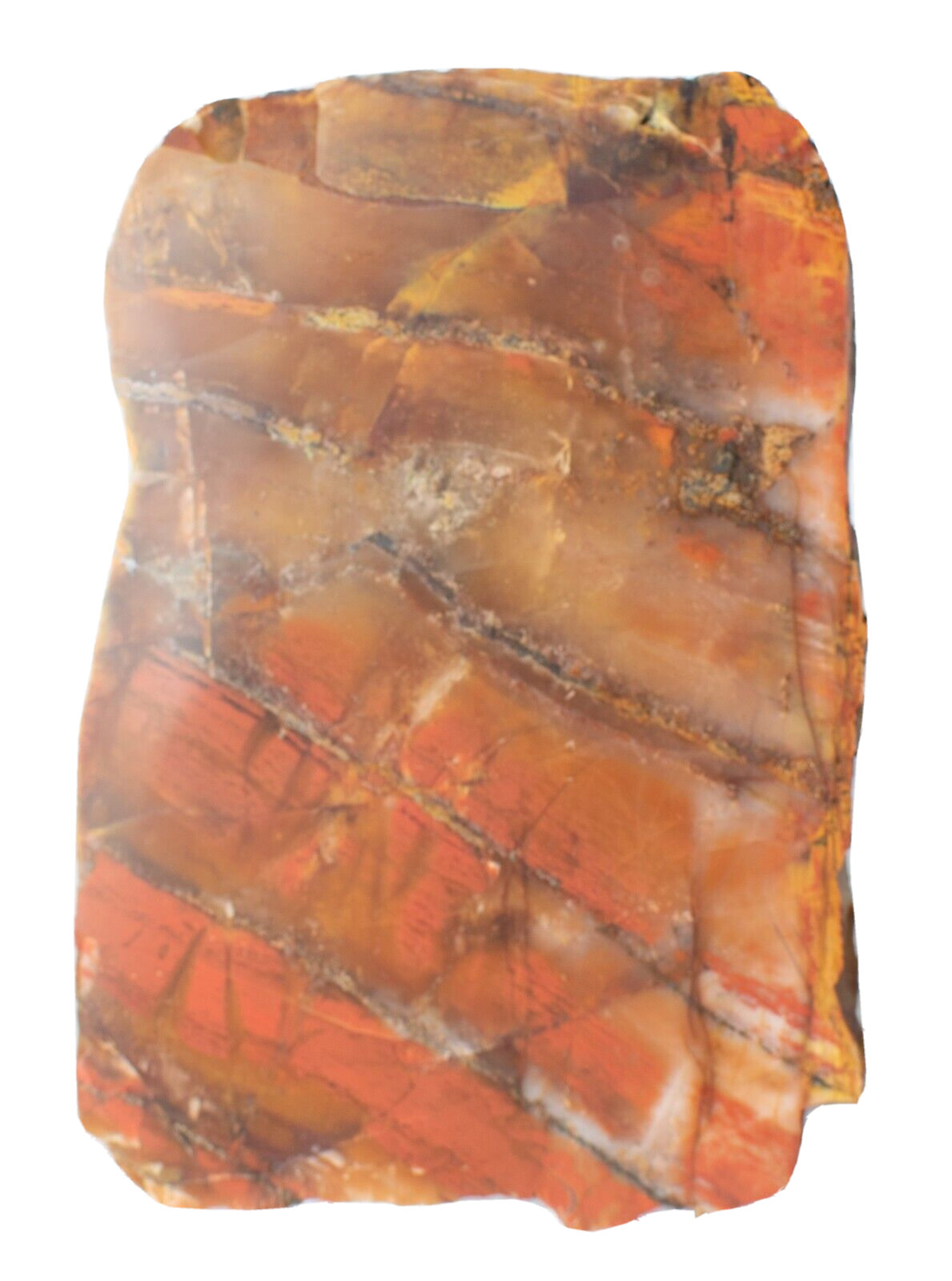 Polished-Western-Australian-Brecciated-ChertJasper-Slice-Stone-Slab-1304232-374626802913