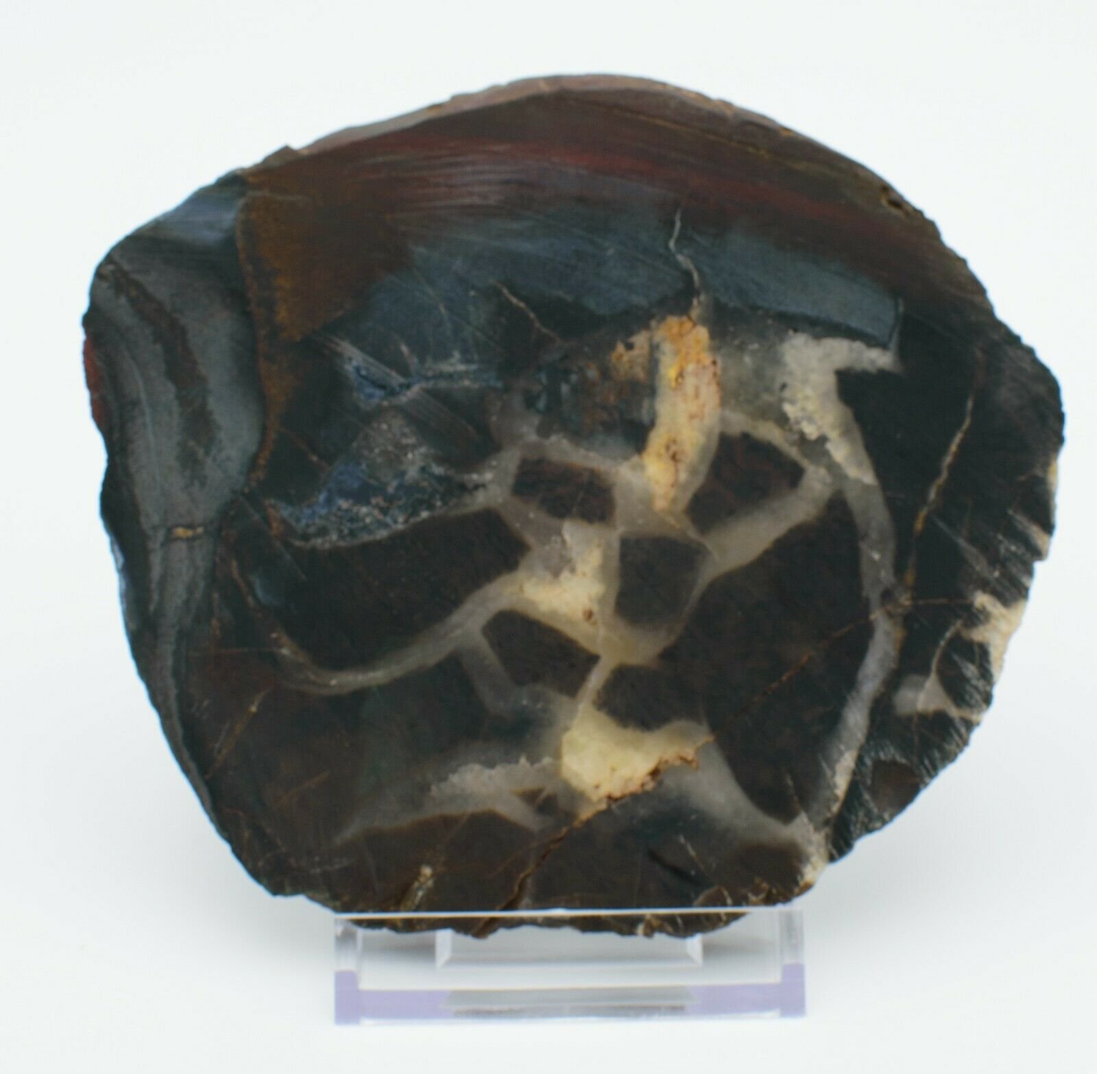 Polished-Western-Australian-Chert-Slice-Stone-Slab-Pilbara-CH001-373993901803-2