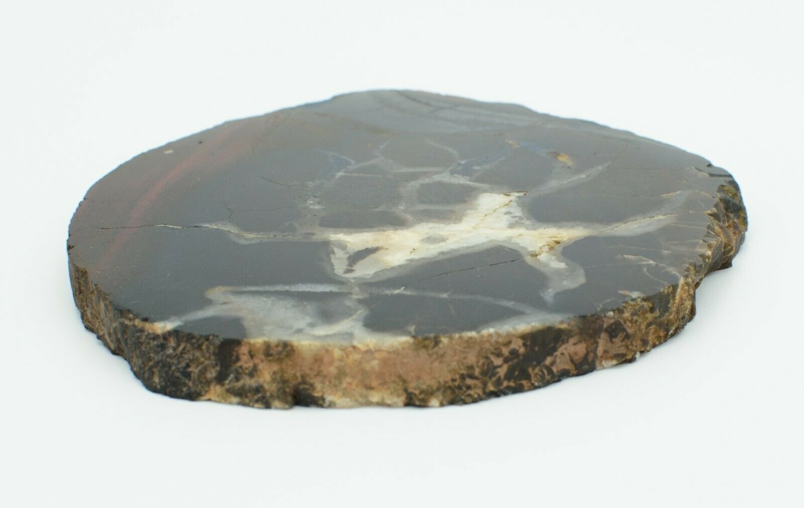 Polished-Western-Australian-Chert-Slice-Stone-Slab-Pilbara-CH001-373993901803-4