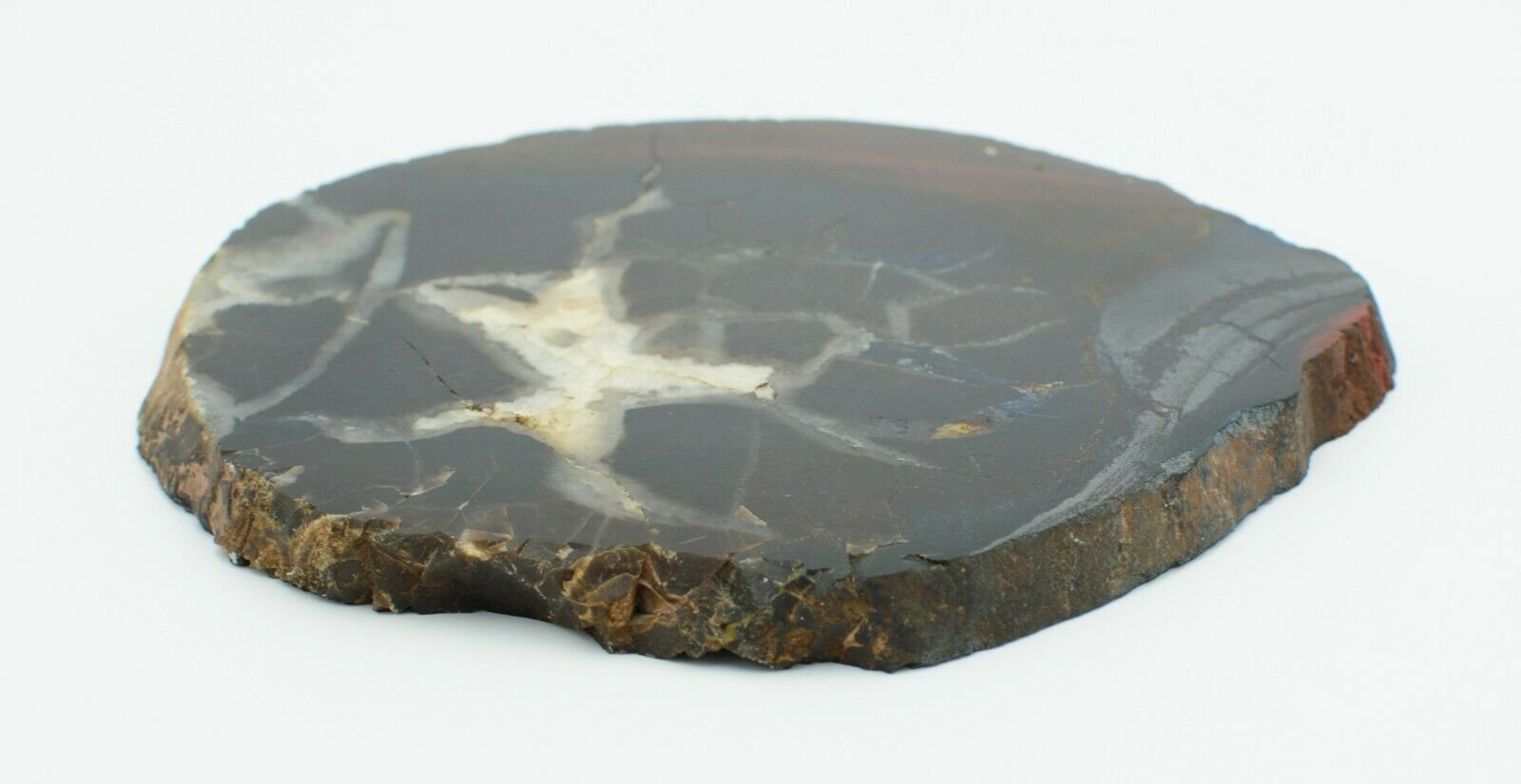 Polished-Western-Australian-Chert-Slice-Stone-Slab-Pilbara-CH001-373993901803-5