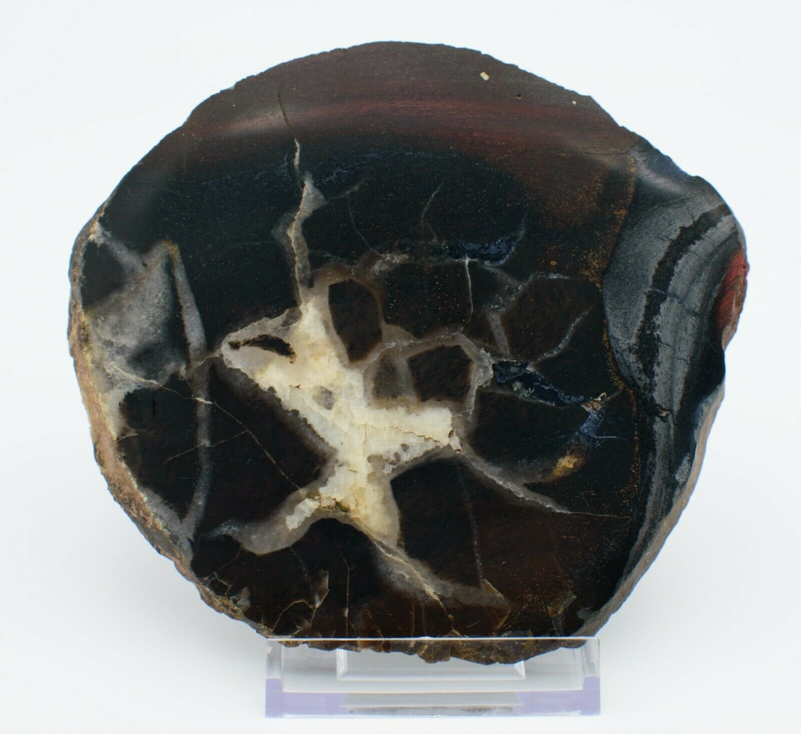 Polished-Western-Australian-Chert-Slice-Stone-Slab-Pilbara-CH001-373993901803