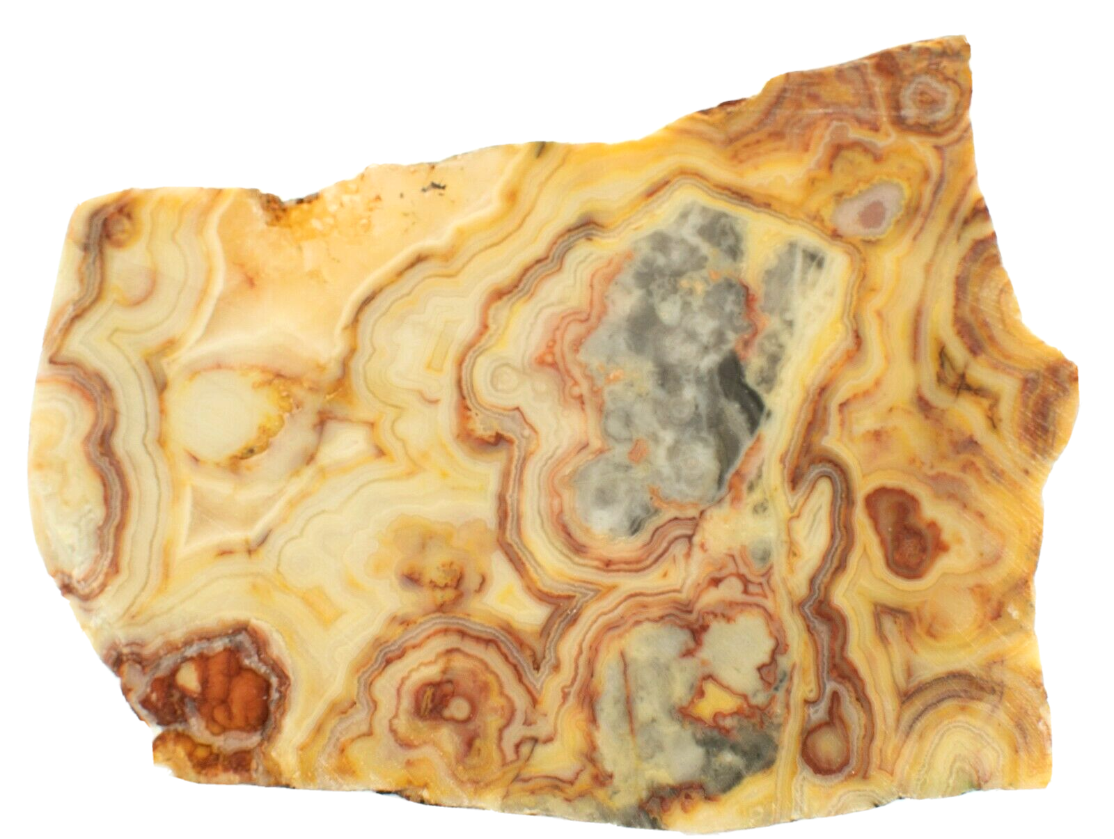 Polished-Western-Australian-Crazy-Lace-Agate-Slice-Stone-Slab-Pilbara-CLO996-374010445683-2