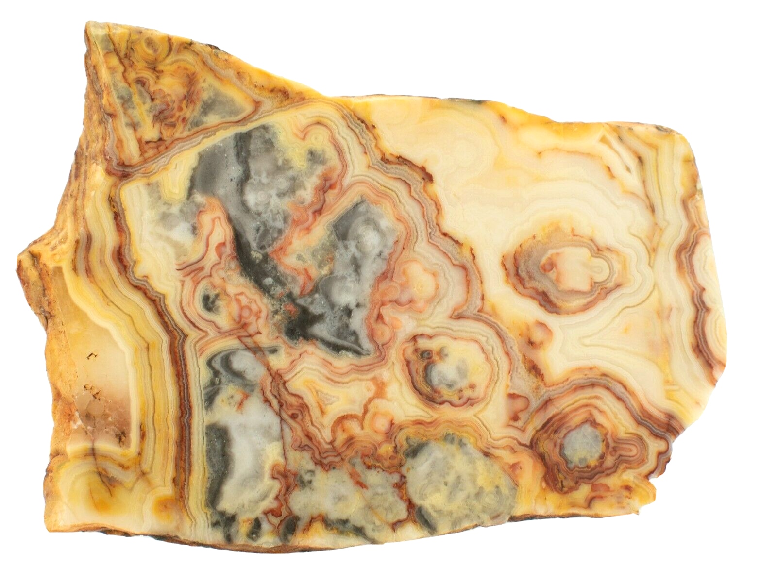 Polished-Western-Australian-Crazy-Lace-Agate-Slice-Stone-Slab-Pilbara-CLO996-374010445683