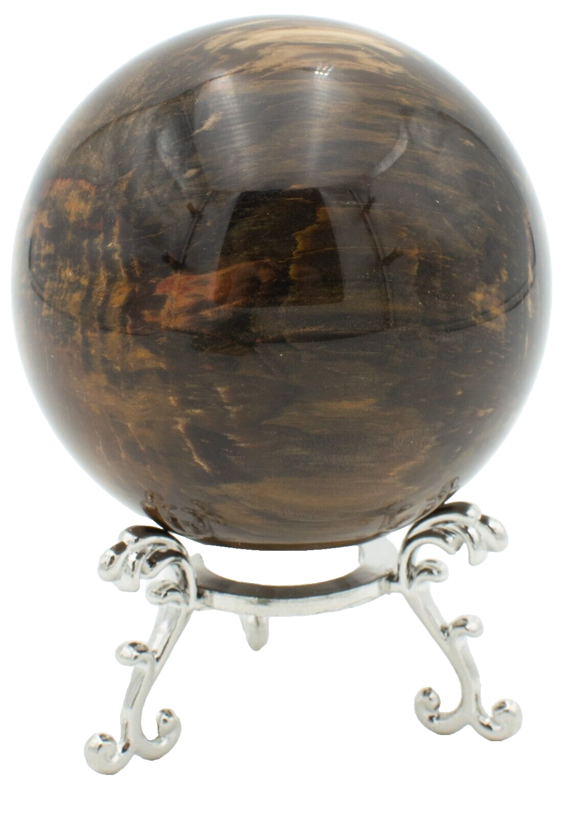 Chinchilla-Petrified-Wood-Rock-Sphere-Free-Stand-PW03051-375409220374-2