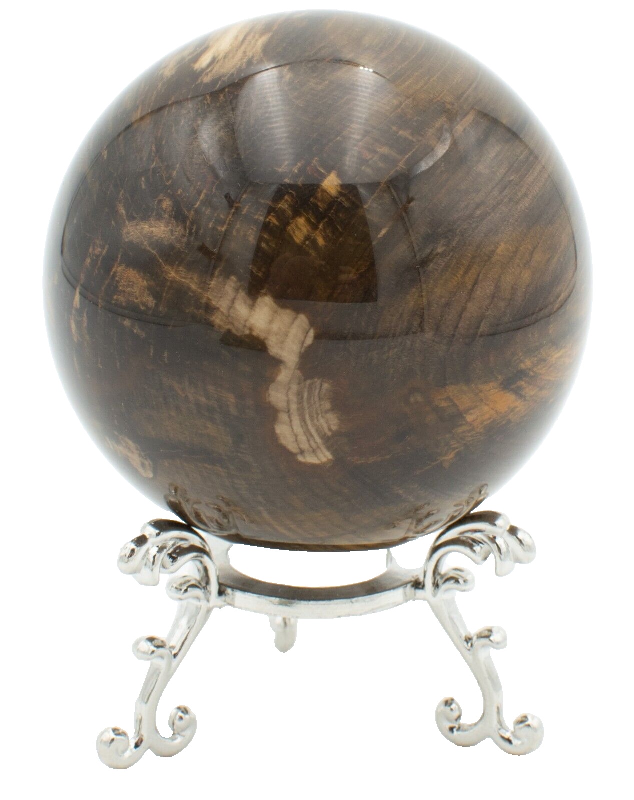 Chinchilla-Petrified-Wood-Rock-Sphere-Free-Stand-PW03051-375409220374-3