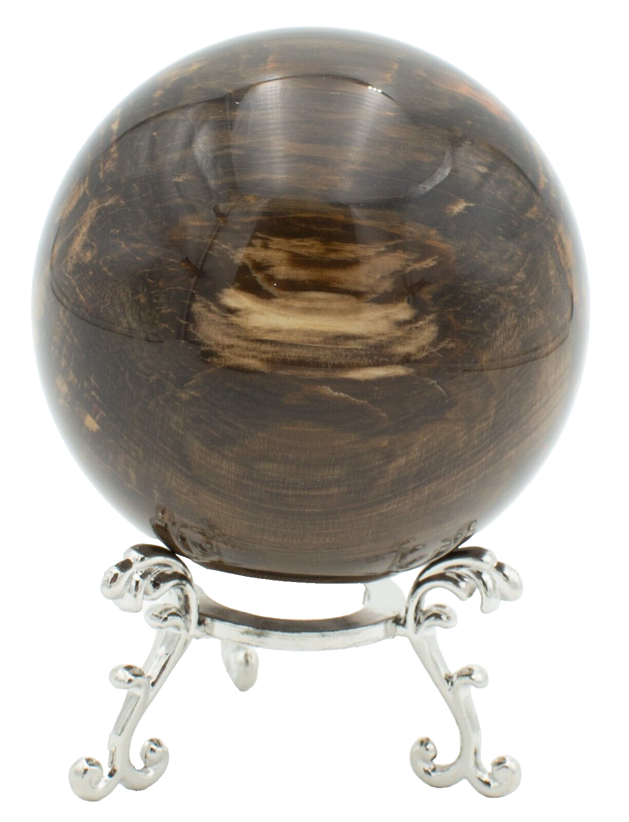 Chinchilla-Petrified-Wood-Rock-Sphere-Free-Stand-PW03051-375409220374-5