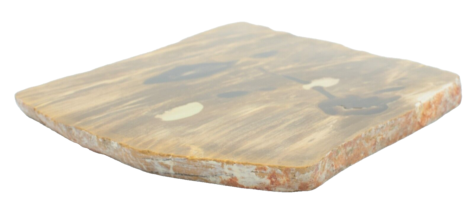 Polished-Chinchilla-Petrified-Wood-Slice-Stone-Slab-Australian-PW03052-375408961314-3