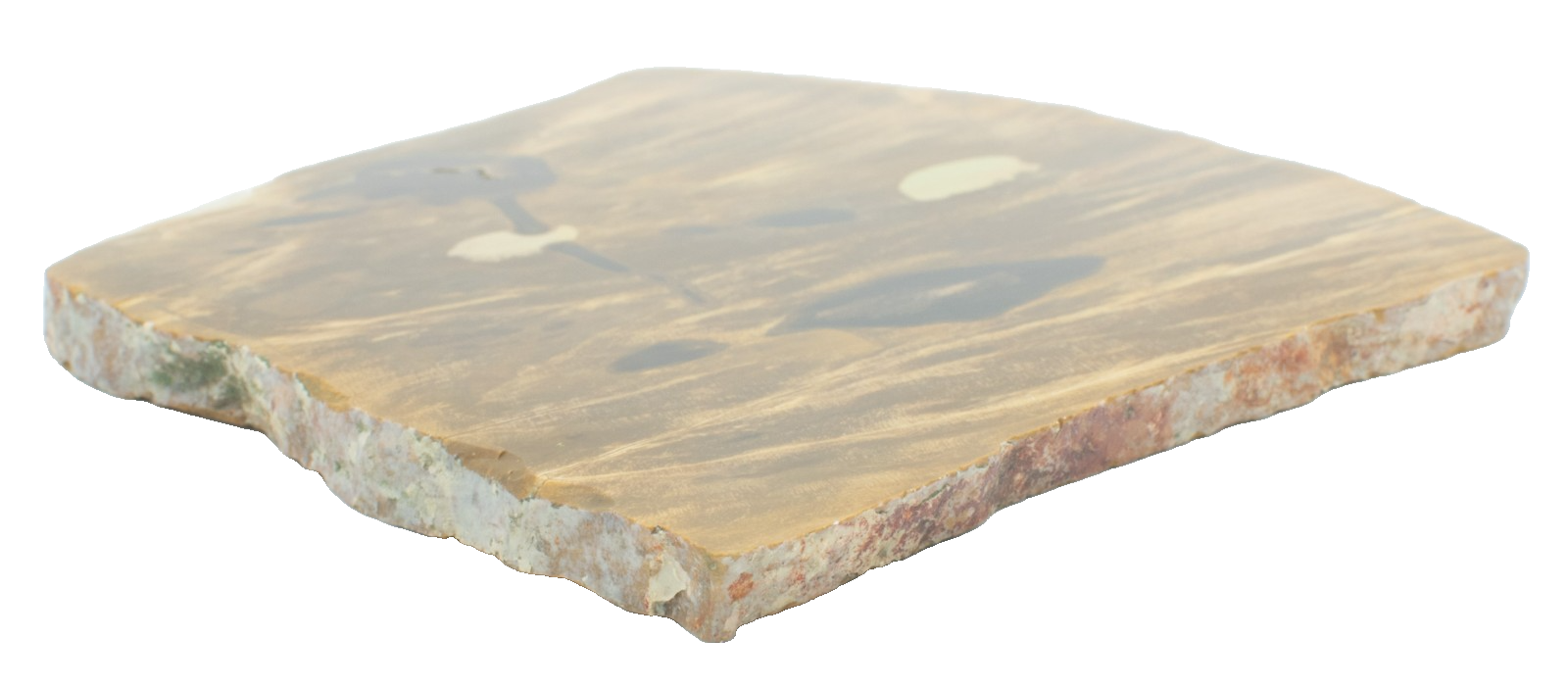 Polished-Chinchilla-Petrified-Wood-Slice-Stone-Slab-Australian-PW03052-375408961314-4
