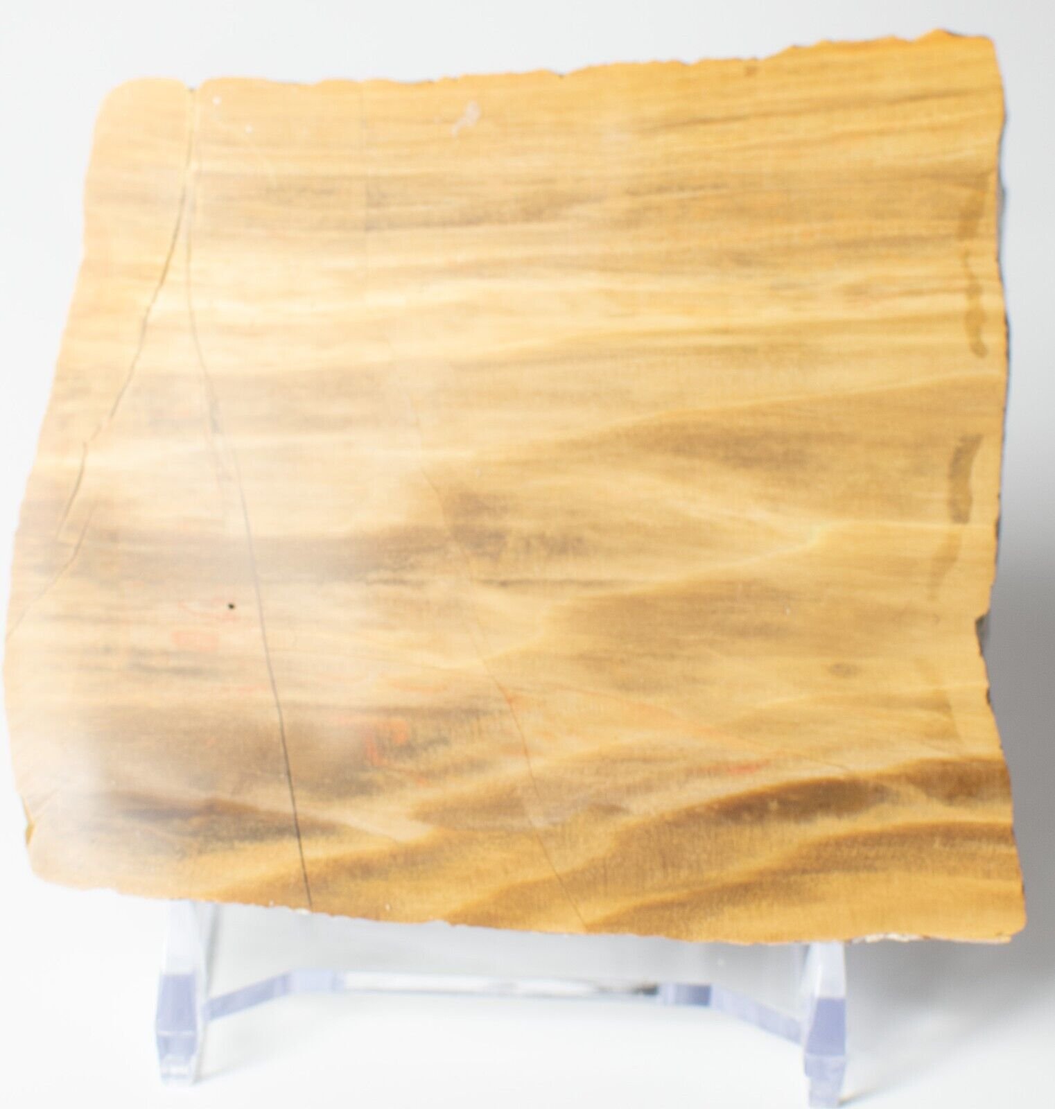 Polished-Chinchilla-Petrified-Wood-Slice-Stone-Slab-Australian-PW2809232-374954766604-2