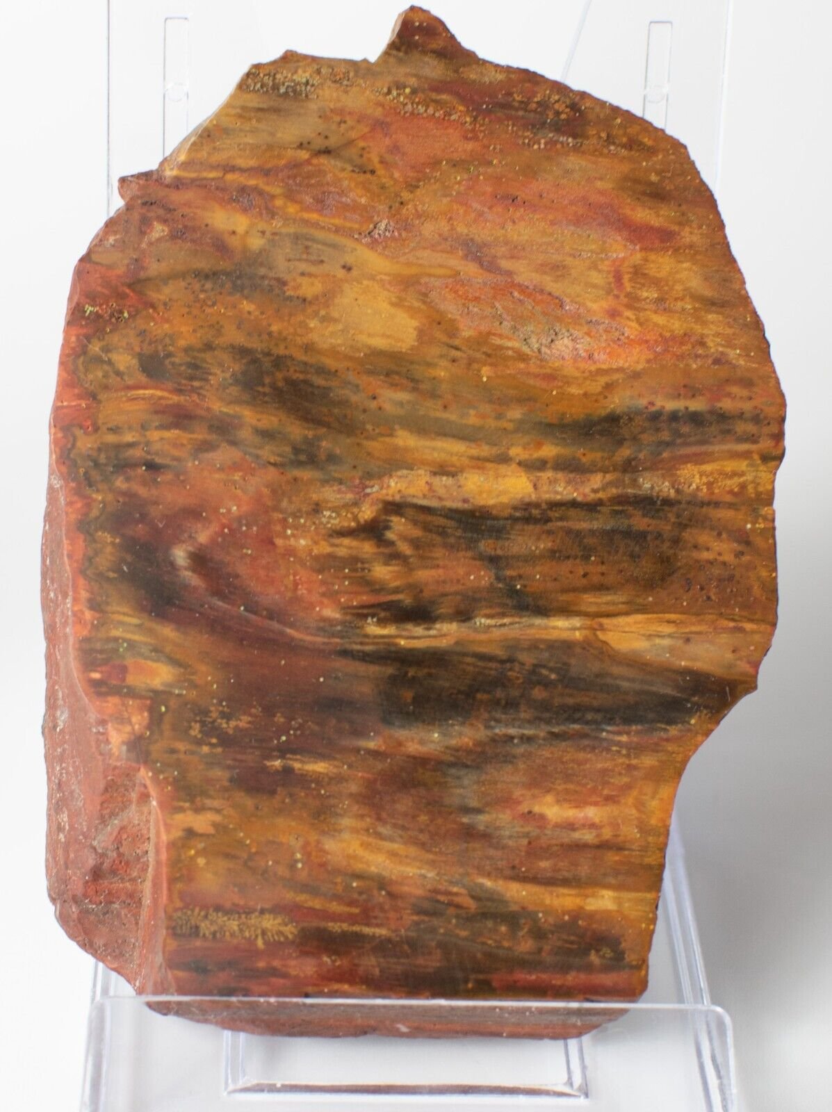 Polished-Chinchilla-Red-Petrified-Wood-Slice-Stone-Slab-Australian-PW2809233-374954786064-2