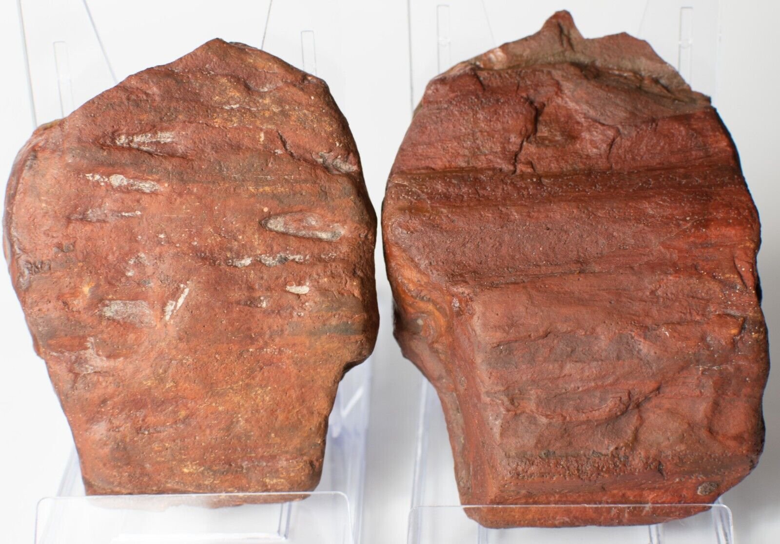 Polished-Chinchilla-Red-Petrified-Wood-Slice-Stone-Slab-Australian-PW2809233-374954786064-4