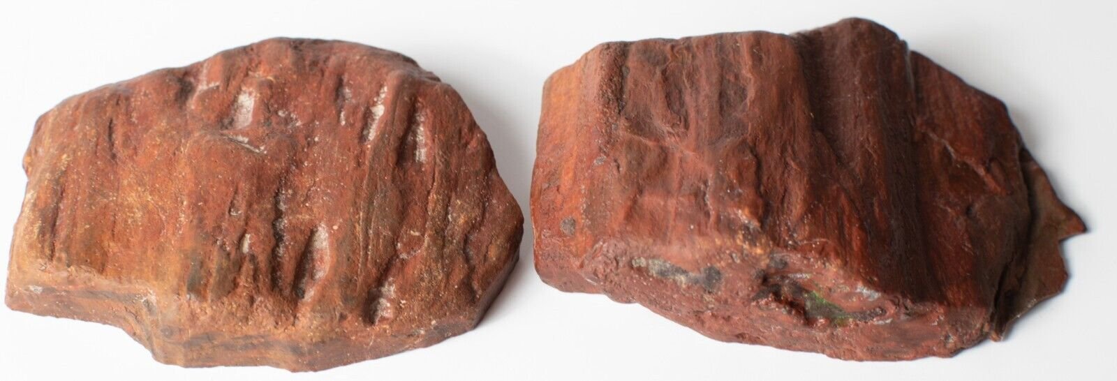 Polished-Chinchilla-Red-Petrified-Wood-Slice-Stone-Slab-Australian-PW2809233-374954786064-5