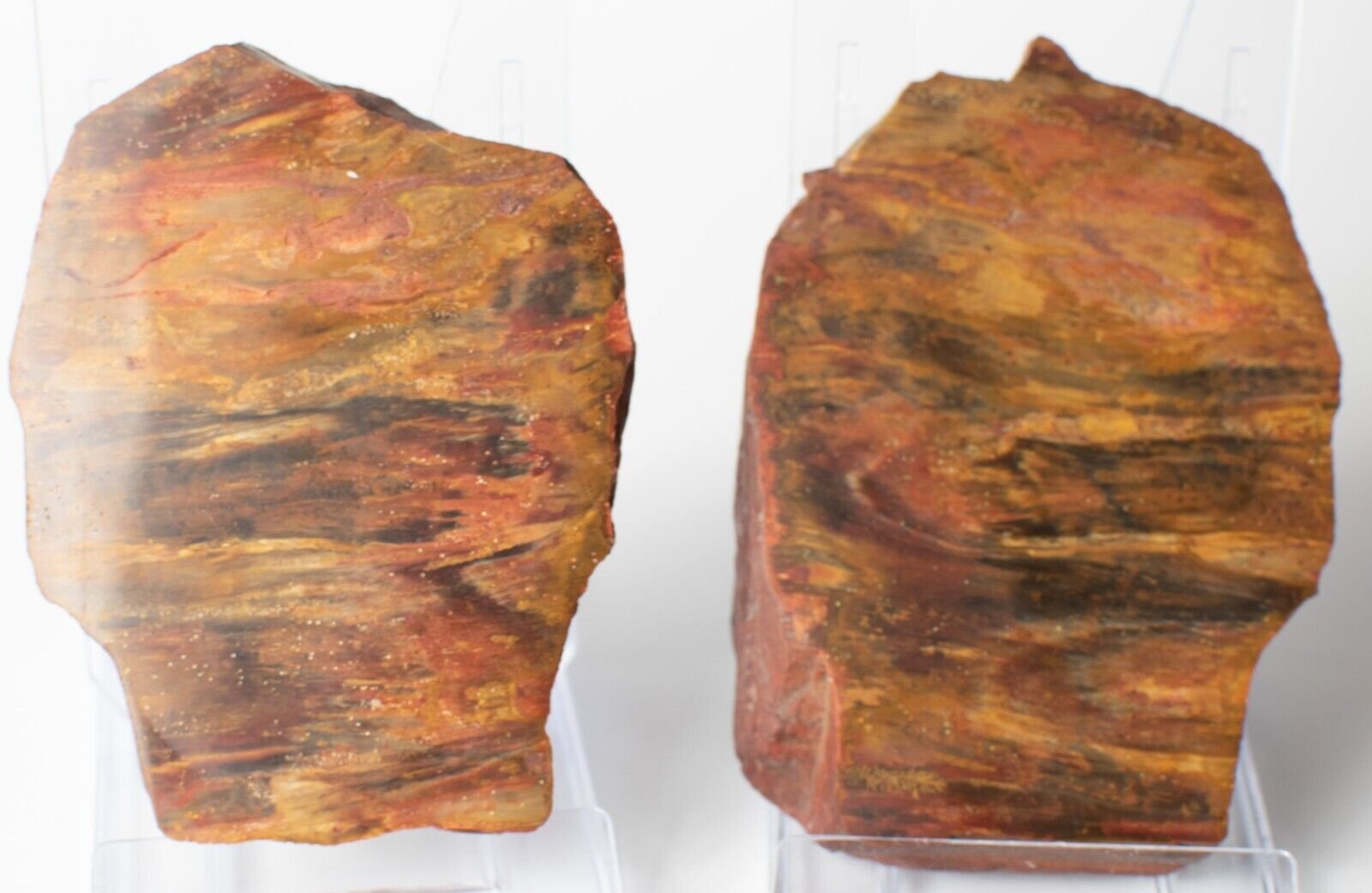 Polished-Chinchilla-Red-Petrified-Wood-Slice-Stone-Slab-Australian-PW2809233-374954786064