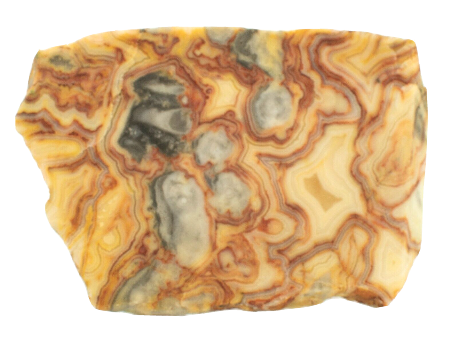 Polished-Western-Australian-Crazy-Lace-Agate-Slice-Stone-Slab-Pilbara-CL056-374012026404-2