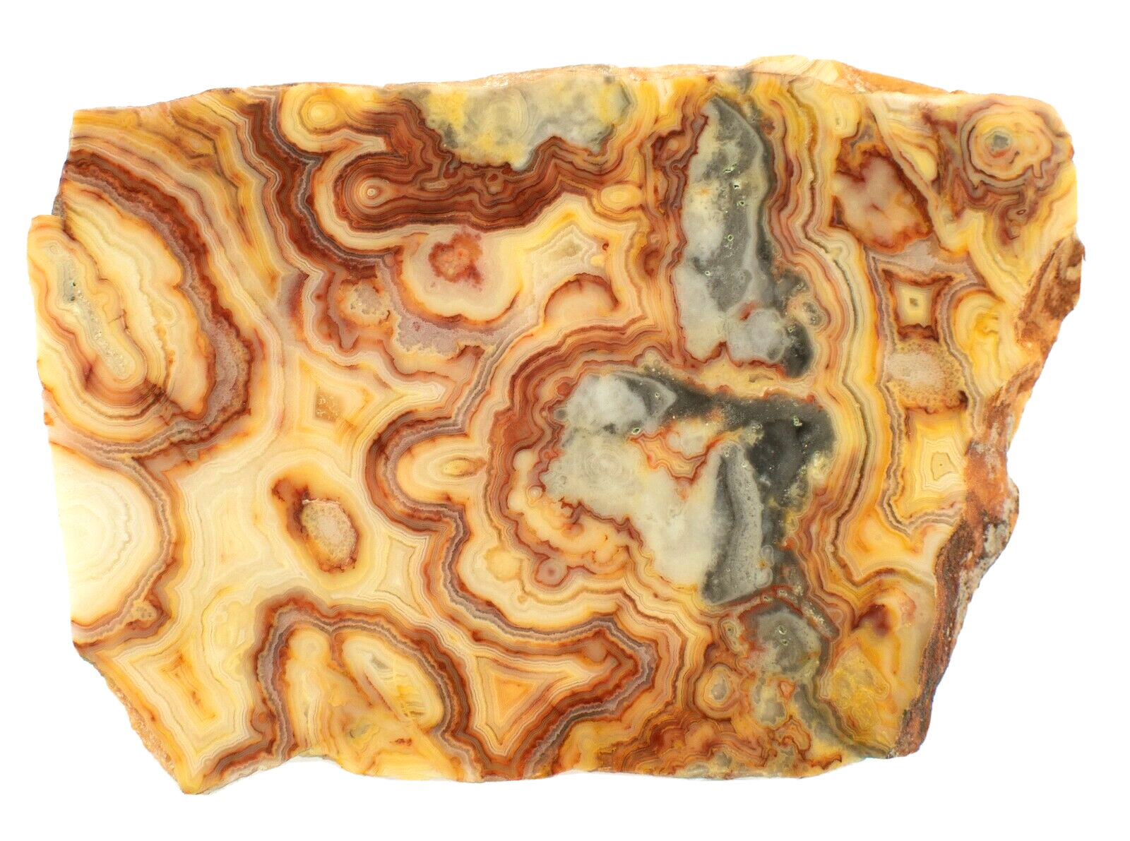 Polished-Western-Australian-Crazy-Lace-Agate-Slice-Stone-Slab-Pilbara-CL056-374012026404