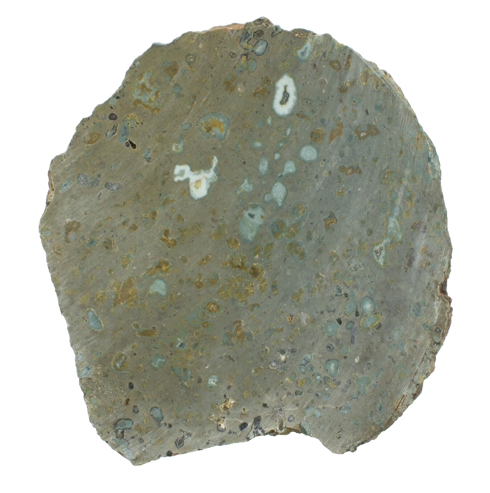 Polished-Western-Australian-Galaxy-Agate-Slice-Stone-Slab-Pilbara-GA02055-375407418974-2