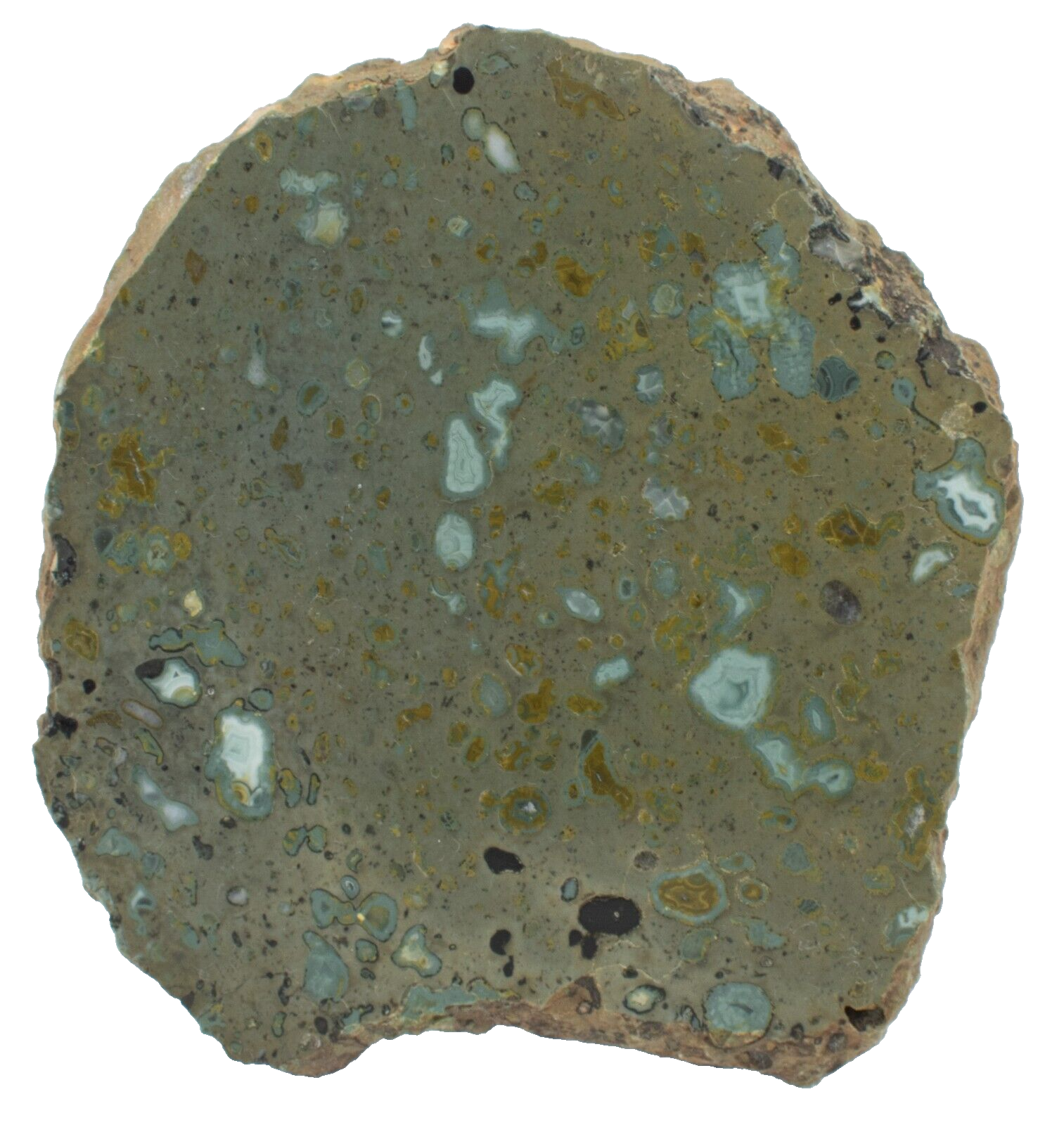 Polished-Western-Australian-Galaxy-Agate-Slice-Stone-Slab-Pilbara-GA02055-375407418974