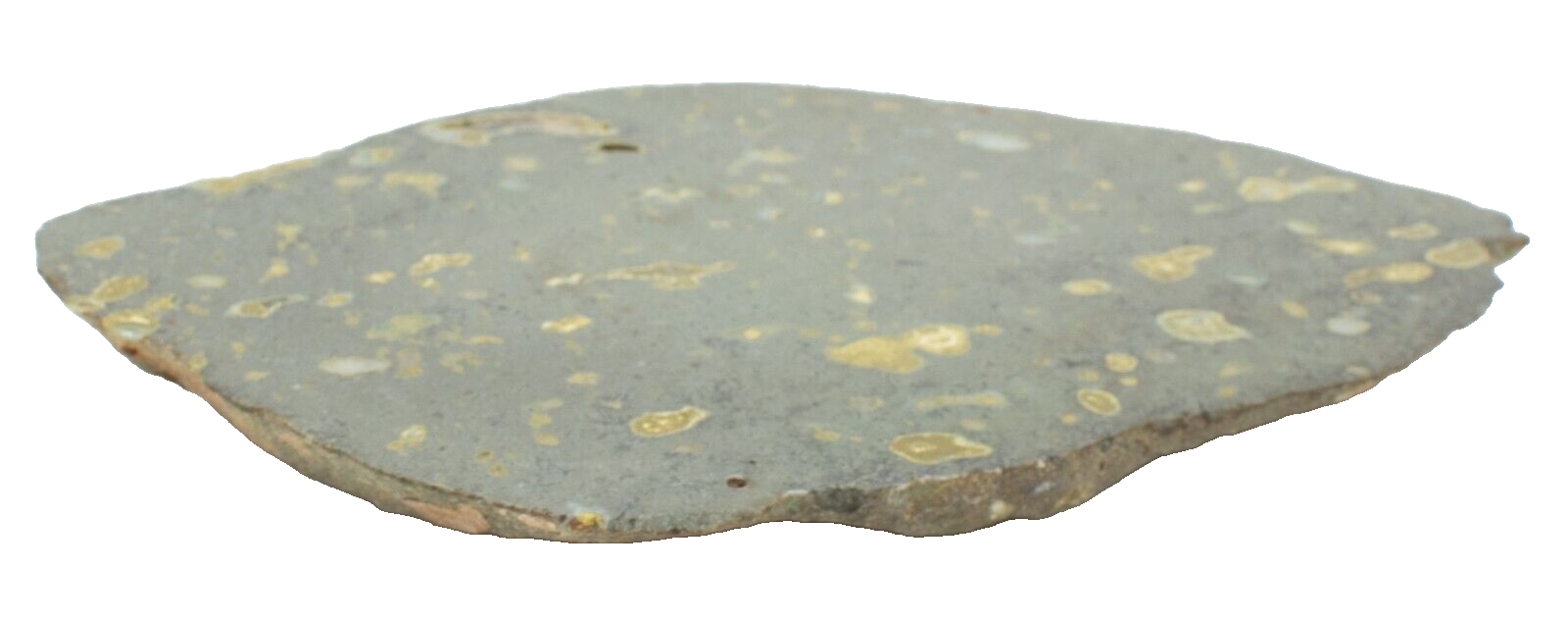 Polished-Western-Australian-Galaxy-Agate-Slice-Stone-Slab-Pilbara-GA02056-375407441874-2