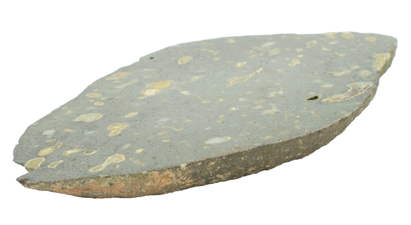 Polished-Western-Australian-Galaxy-Agate-Slice-Stone-Slab-Pilbara-GA02056-375407441874-3