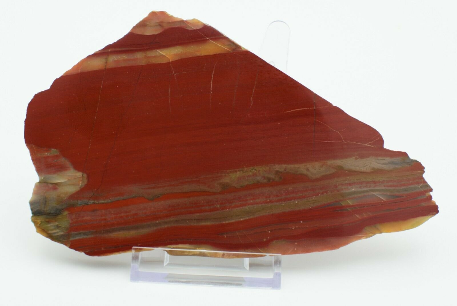 Polished-Western-Australian-Marble-Bar-Chert-Jasper-Slice-001-Free-Stand-373993908004