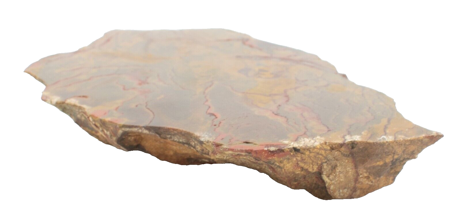 Polished-Chinchilla-Petrified-Wood-Slice-Stone-Slab-Australian-PW03051-375408950085-3