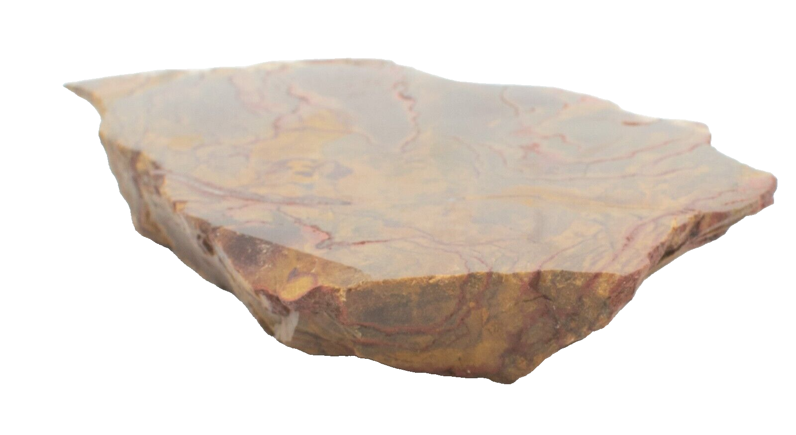 Polished-Chinchilla-Petrified-Wood-Slice-Stone-Slab-Australian-PW03051-375408950085-4