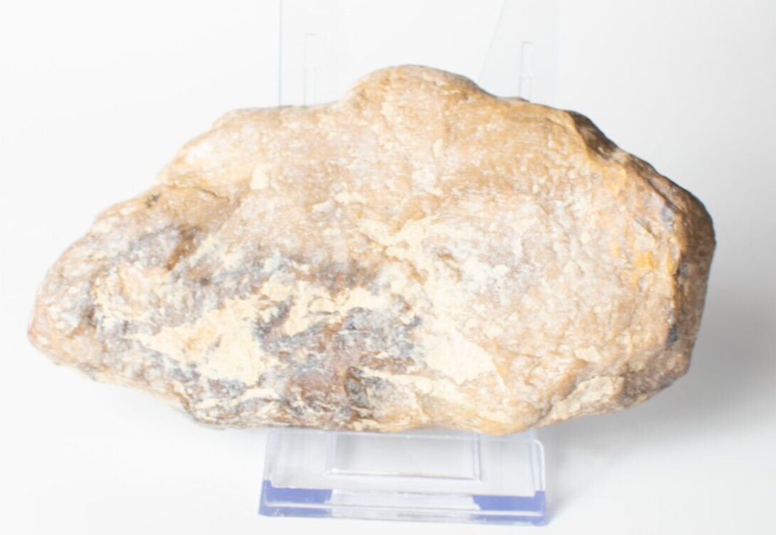 Polished-Chinchilla-Petrified-Wood-Slice-Stone-Slab-Australian-PW2109237-374943394235-2