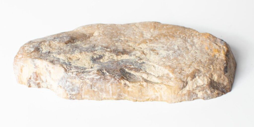 Polished-Chinchilla-Petrified-Wood-Slice-Stone-Slab-Australian-PW2109237-374943394235-3