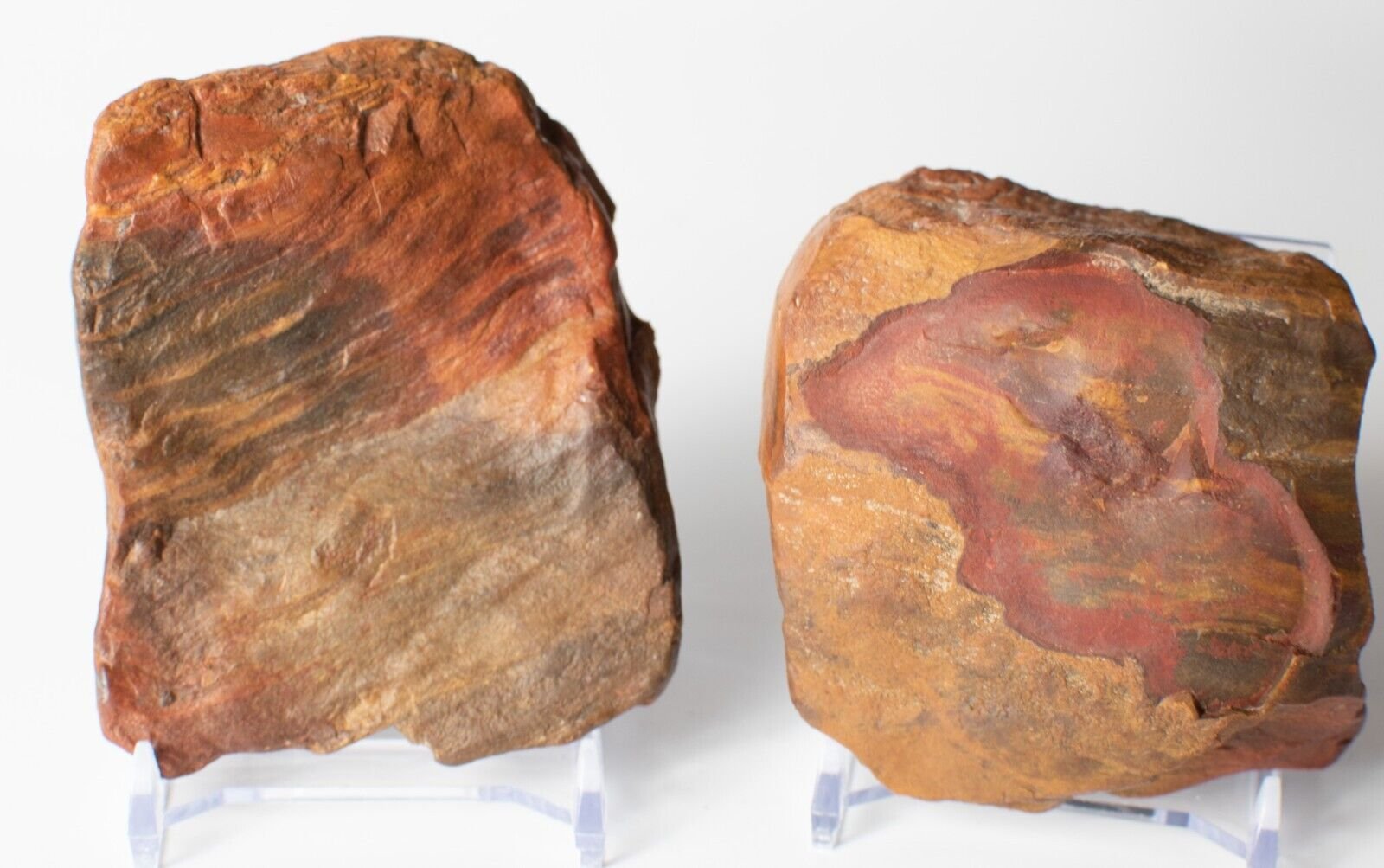 Polished-Chinchilla-Petrified-Wood-Slice-Stone-Slab-Australian-PW2809231-374954756565-2