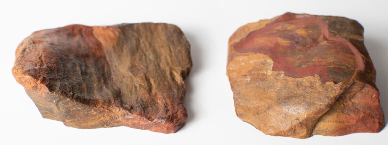 Polished-Chinchilla-Petrified-Wood-Slice-Stone-Slab-Australian-PW2809231-374954756565-3