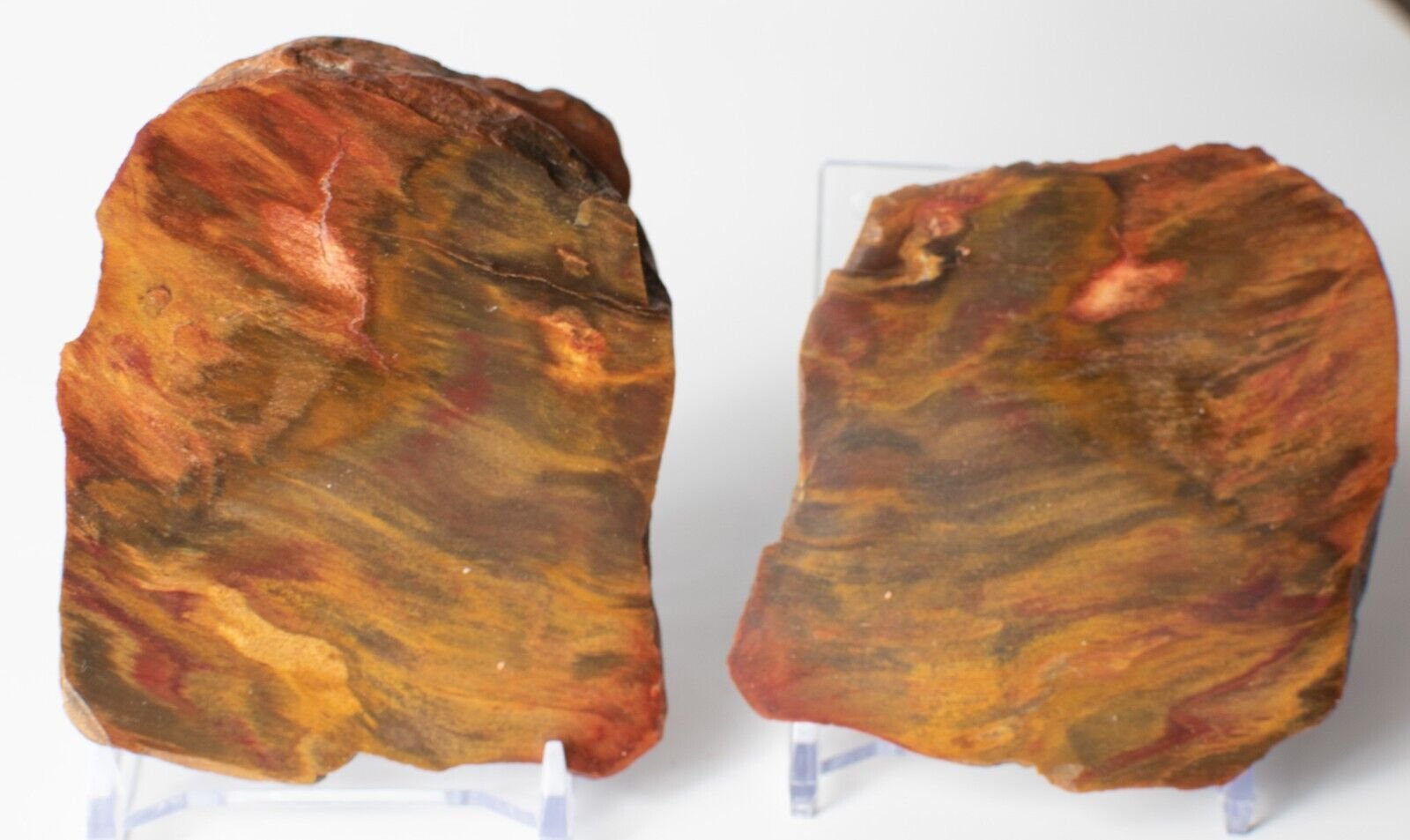 Polished-Chinchilla-Petrified-Wood-Slice-Stone-Slab-Australian-PW2809231-374954756565