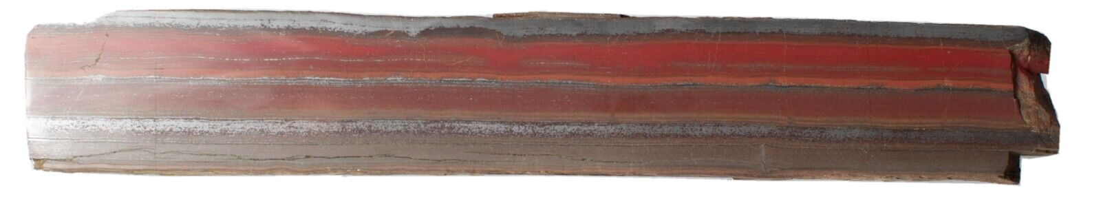 Polished-Western-Australian-Banded-Iron-Jasper-Slice-Stone-Slab-Pilbara-BI504239-374608314645